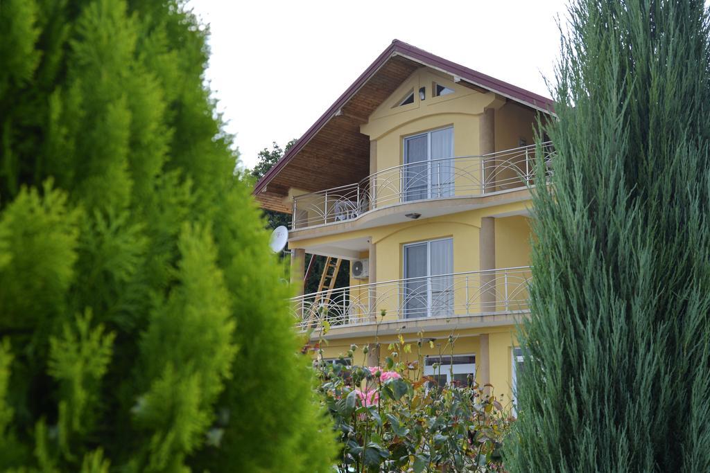 ホテル Casa Marina Ieşelniţa エクステリア 写真