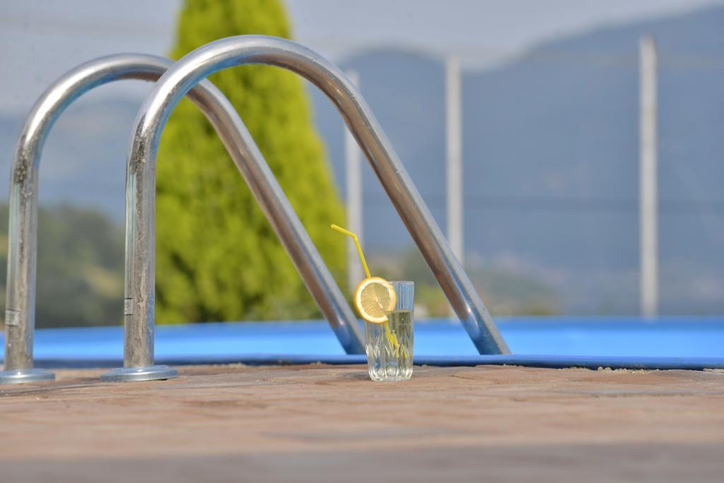 ホテル Casa Marina Ieşelniţa エクステリア 写真