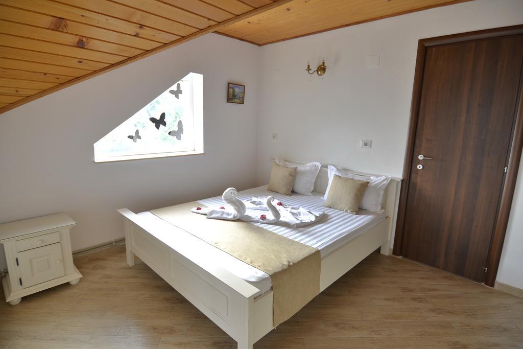 ホテル Casa Marina Ieşelniţa エクステリア 写真